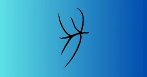 Wind Map interface screenshot